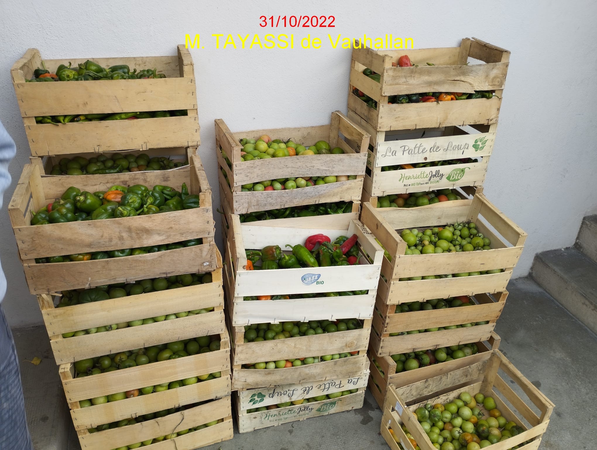 Tomates et Poivrons