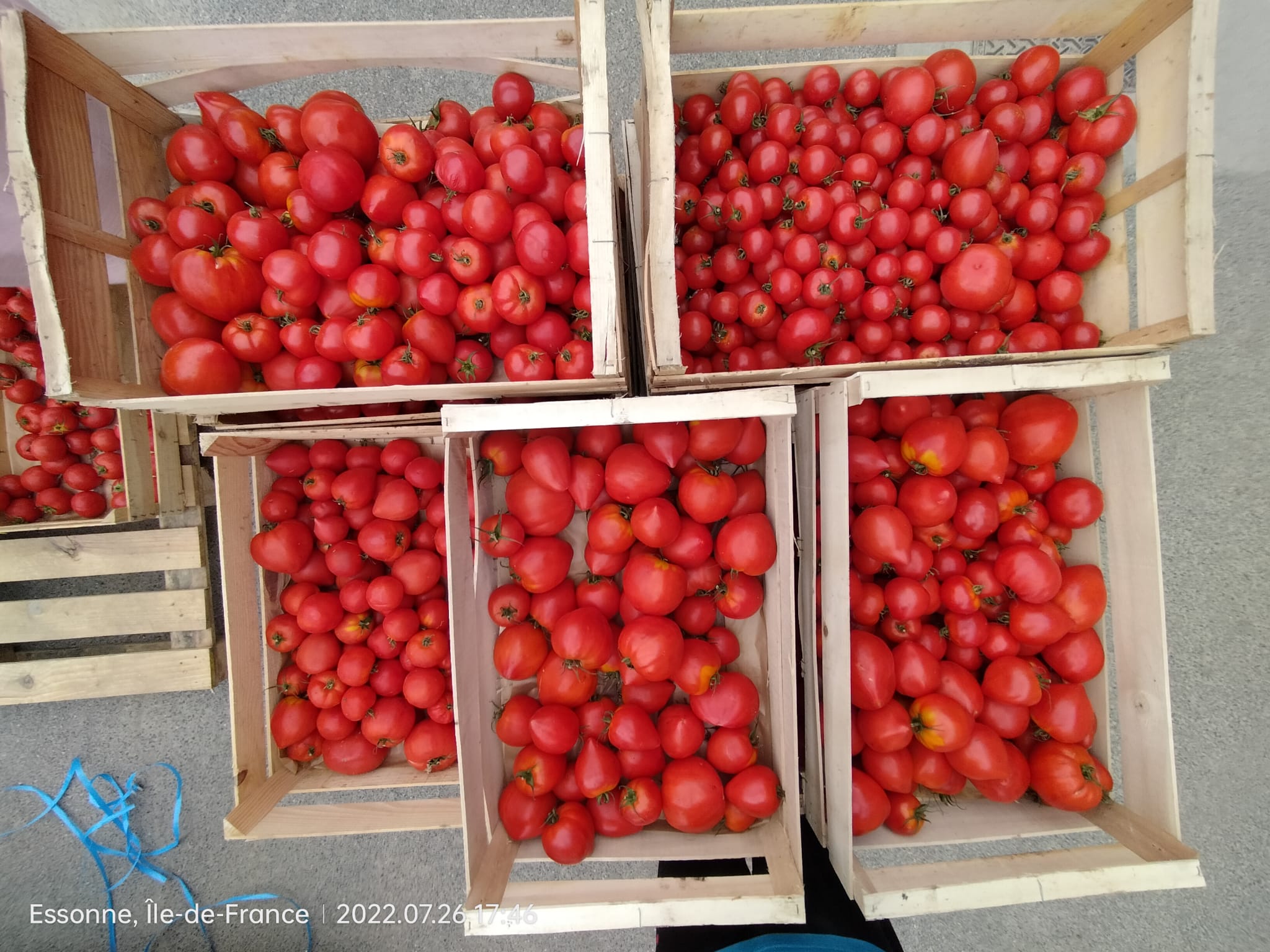 Tomates