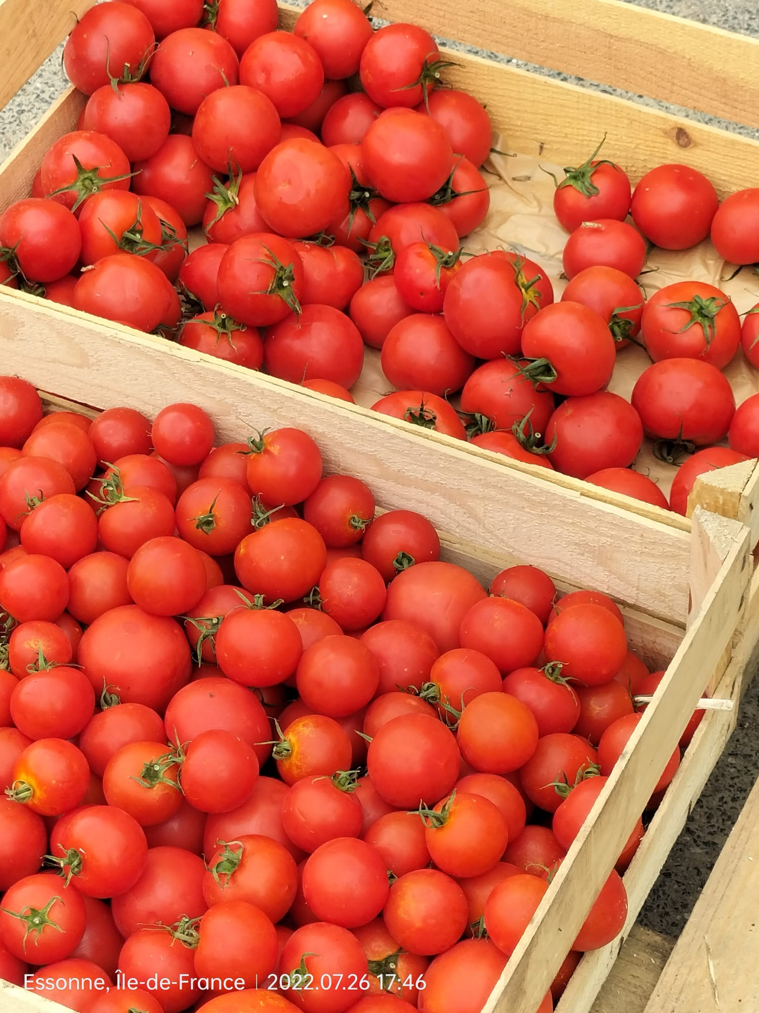 Tomates