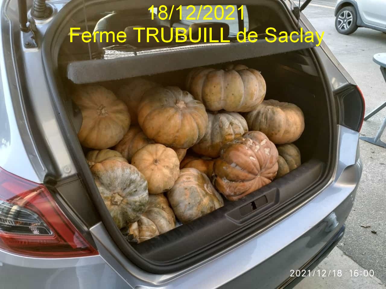 COURGES