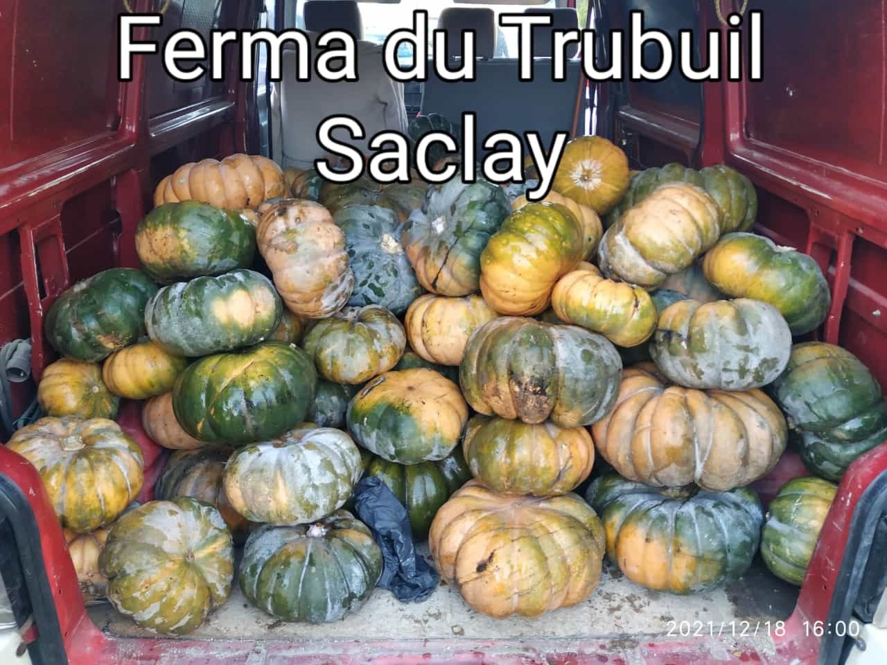 COURGES