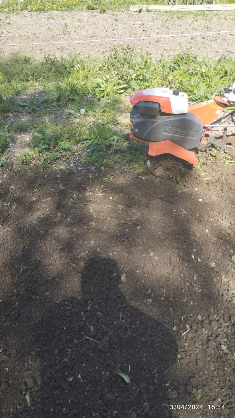 Jardin solidaire
