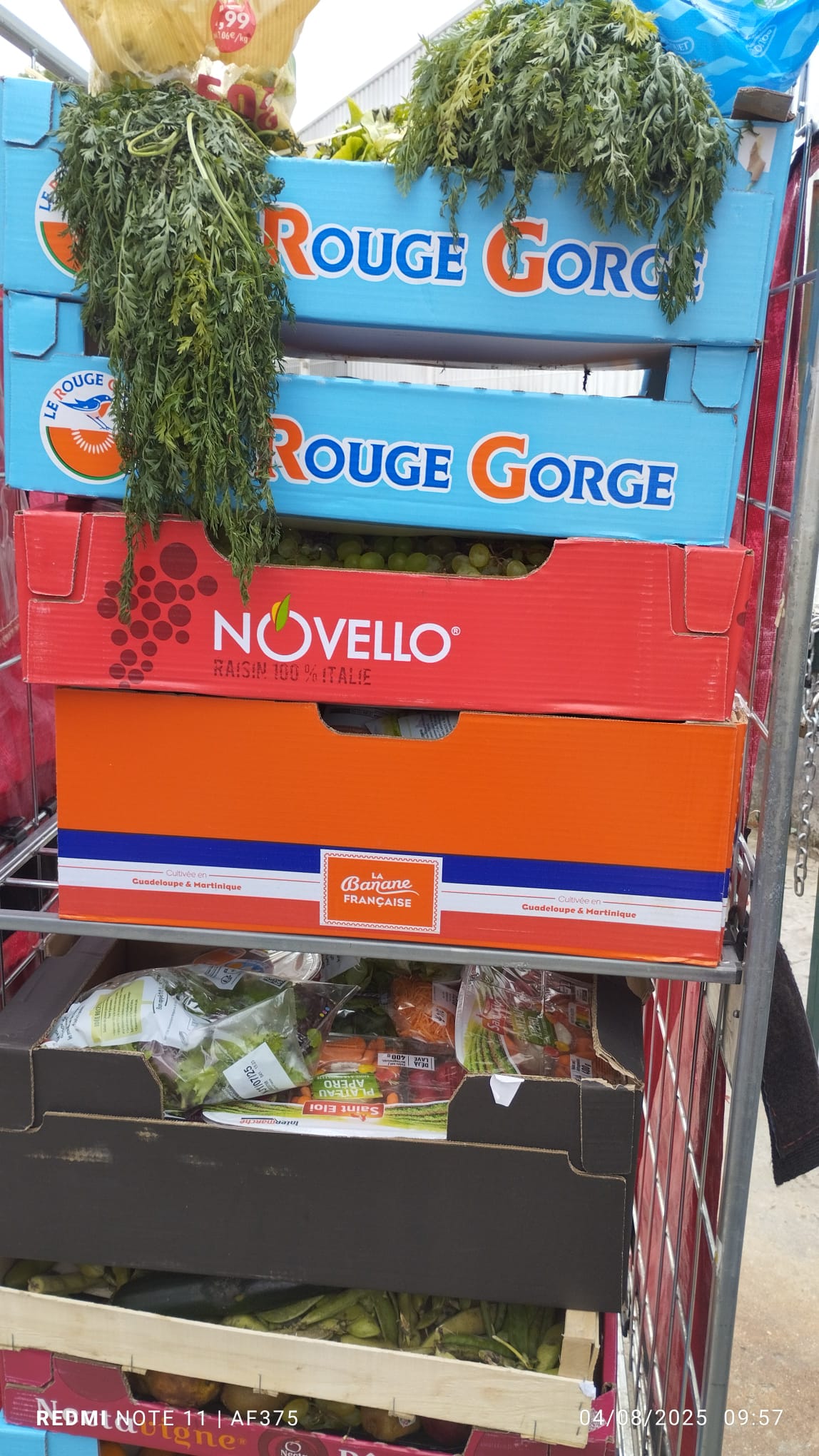 Paniers d'été